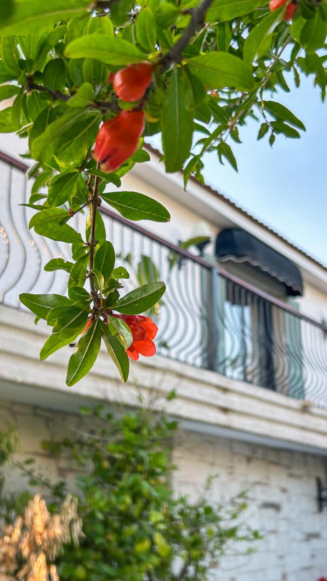 N Hotels Cesme Dalyankoy  外观 照片