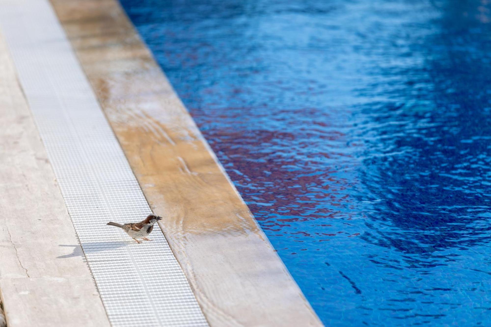N Hotels Cesme Dalyankoy  外观 照片